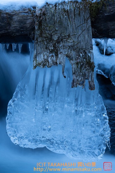 ../Images/7R251207 (133).jpg